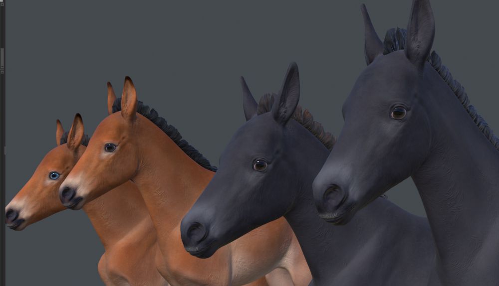 A bag with blue eye, a bag with dark brown eye and two black foals with brown eyes 