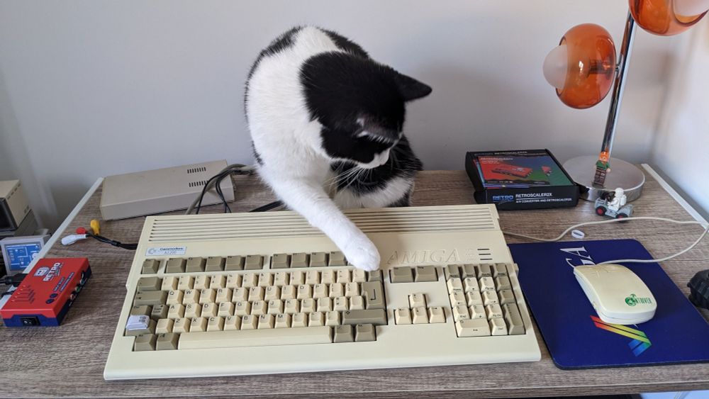 My cat trying the delete key on my Amiga, unaware that I'd already switched it off. 