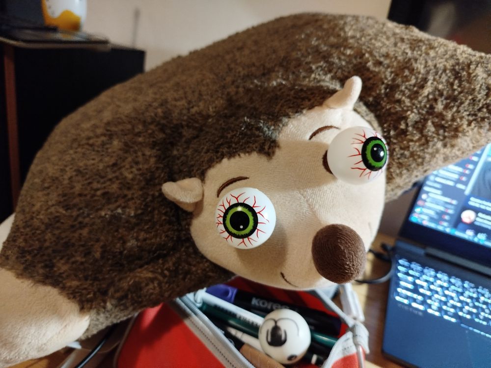 A fat hedgehog pillow plushy with extra sewn on spooky eyeballs.