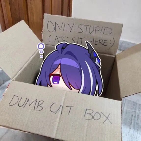 acheron sticker in place of a cat sitting in the dumb cat box "only stupid cats sit here :)"
