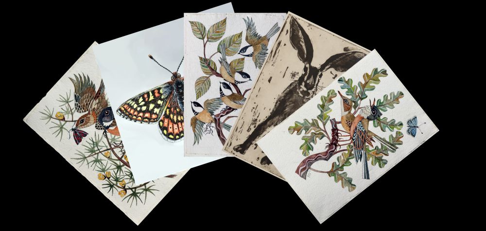 5 cards, depicting stonechats, a marsh fritillary butterfly, willow tits, a hare and whitethroats.