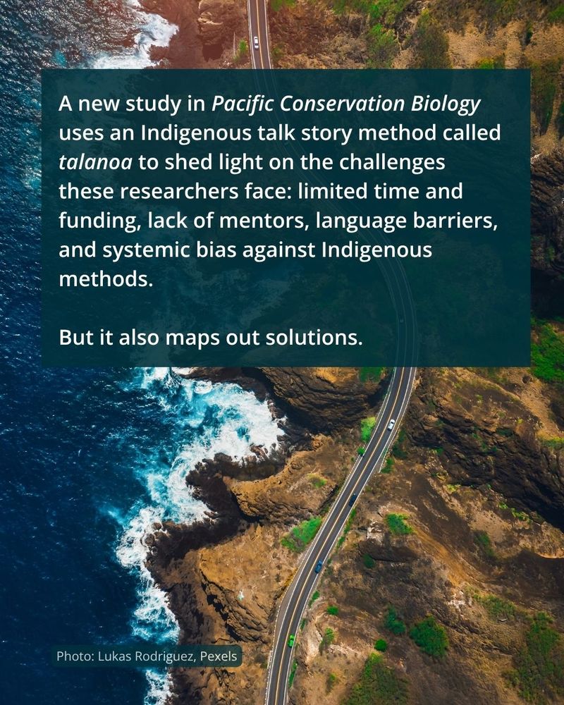 An aerial view of a jagged coastline, waves fizzing around its edges and a road cutting across the rugged landscape. Text informs us: "A new study in Pacific Conservation Biology uses an Indigenous talk story method called talanoa to shed light on the challenges these researchers face: limited time and funding, lack of mentors, language barriers, and systemic bias against Indigenous methods. But it also maps out solutions." The photo is credited as being by Lukas Rodriguez from Pexels.