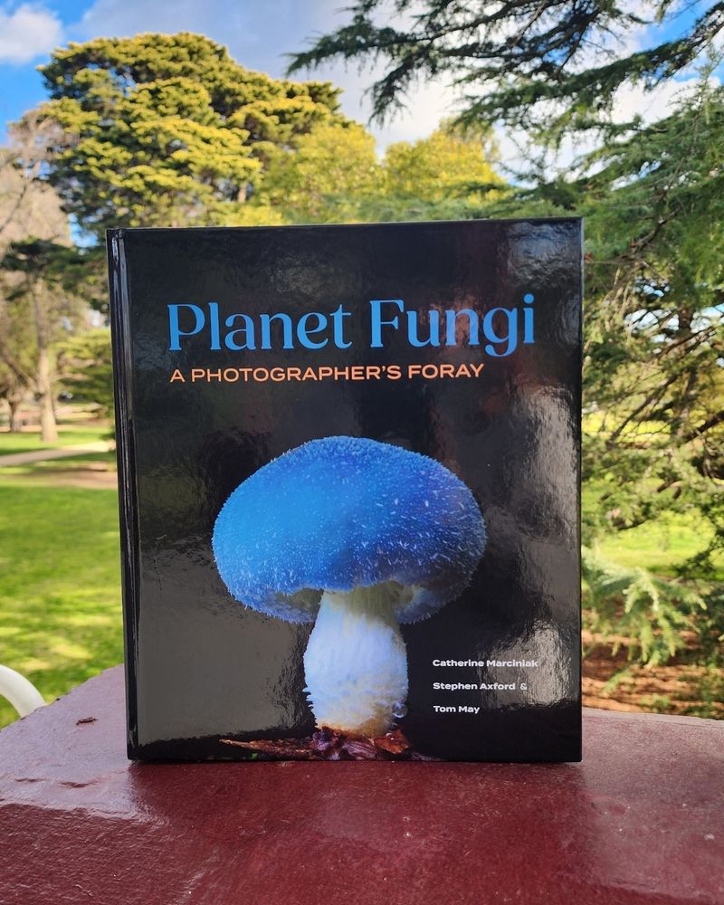 The book 'Planet Fungi: A Photographer's Foray' in a park setting. The cover features a strikingly beautiful mushroom with a thick white stem and round blue cap.