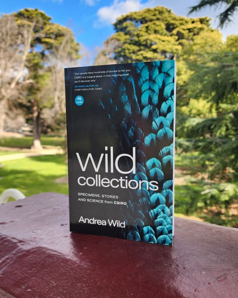 The book 'Wild Collections: Specimens, Stories and Science from CSIRO' in a park setting. The cover features a photo of iridescent blue bird feathers.