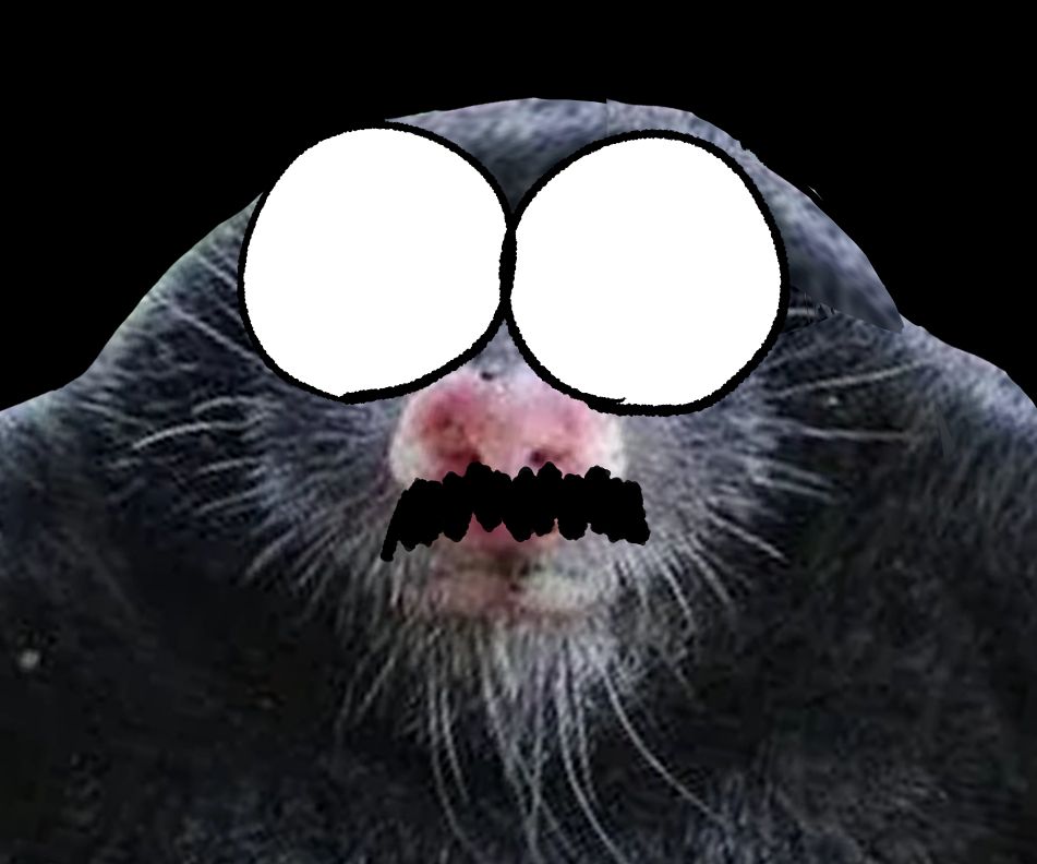 Comic panel three: Straight up a real picture of a mole staring into camera, with badly drawn glasses and a thick mustache. It's me, learning I will have to see people tomorrow
