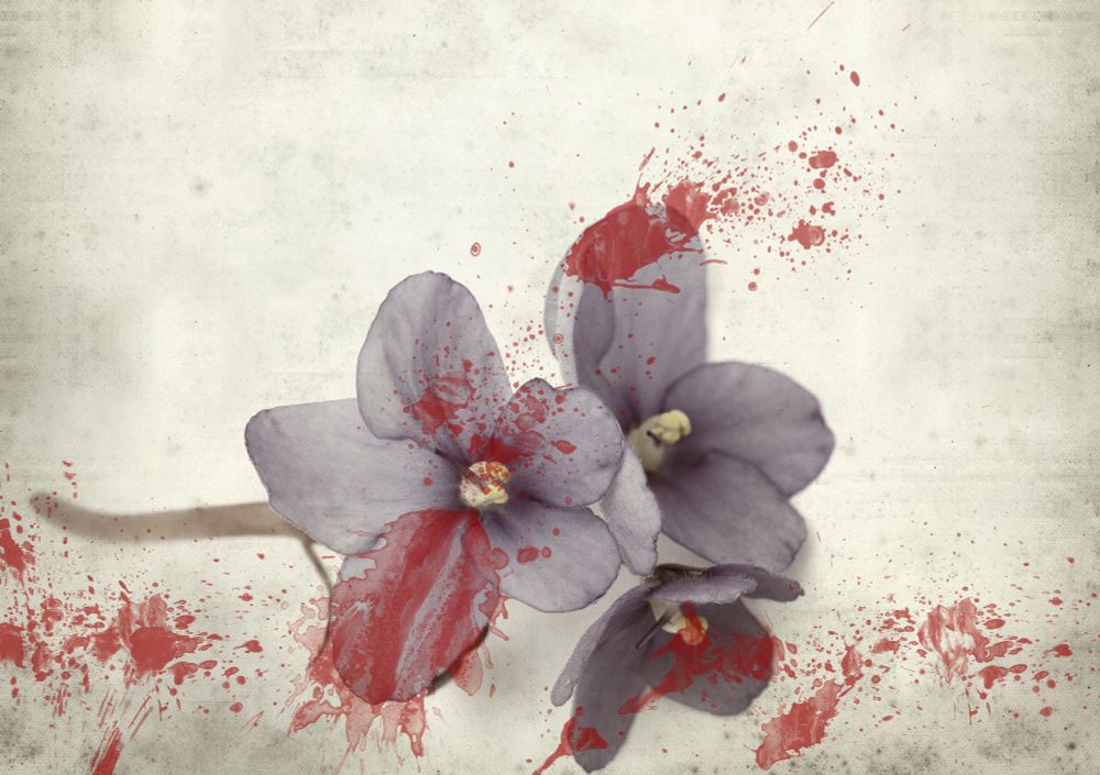 delicate pale purple flowers splattered with blood