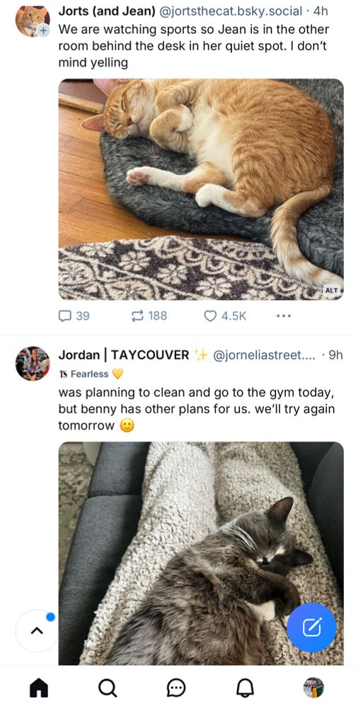 screenshot of bluesky with two cats in two separate posts. first cat is an orange cat from @jortsthecat.bsky.social & second cat is black/grey from @jorneliastreet.swifties.social