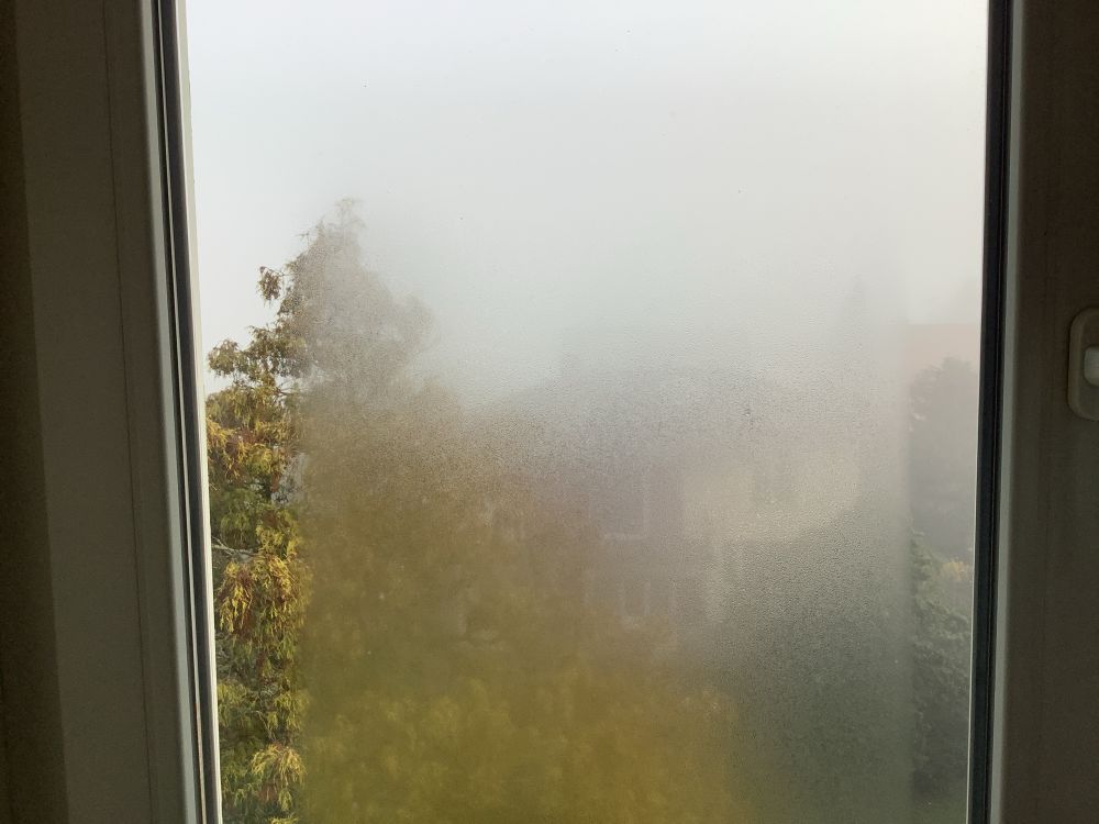 Blick durchs Fenster- getrübt, da das Fenster von außen beschlagen ist.