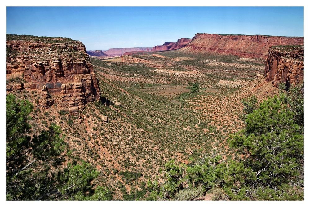 Beneath a faultless blue sky we see a pleasant valley with scattered conifers and shrubs stretching into the distance along a wash. On either side are steep rocky cliffs with well-defined sedimentation.