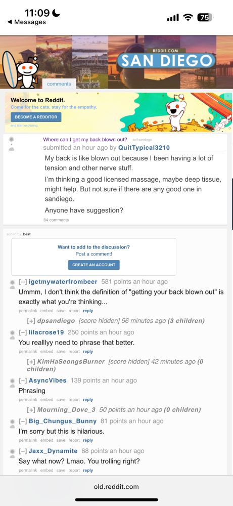 screenshot of a post on the san diego subreddit. title “where can i get my back blown out?” post “My back is like blown out because I been having a lot of tension and other nerve stuff.

I’m thinking a good licensed massage, maybe deep tissue, might help. But not sure if there are any good one in sandiego.

Anyone have suggestion?”