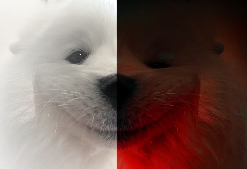 Comment image