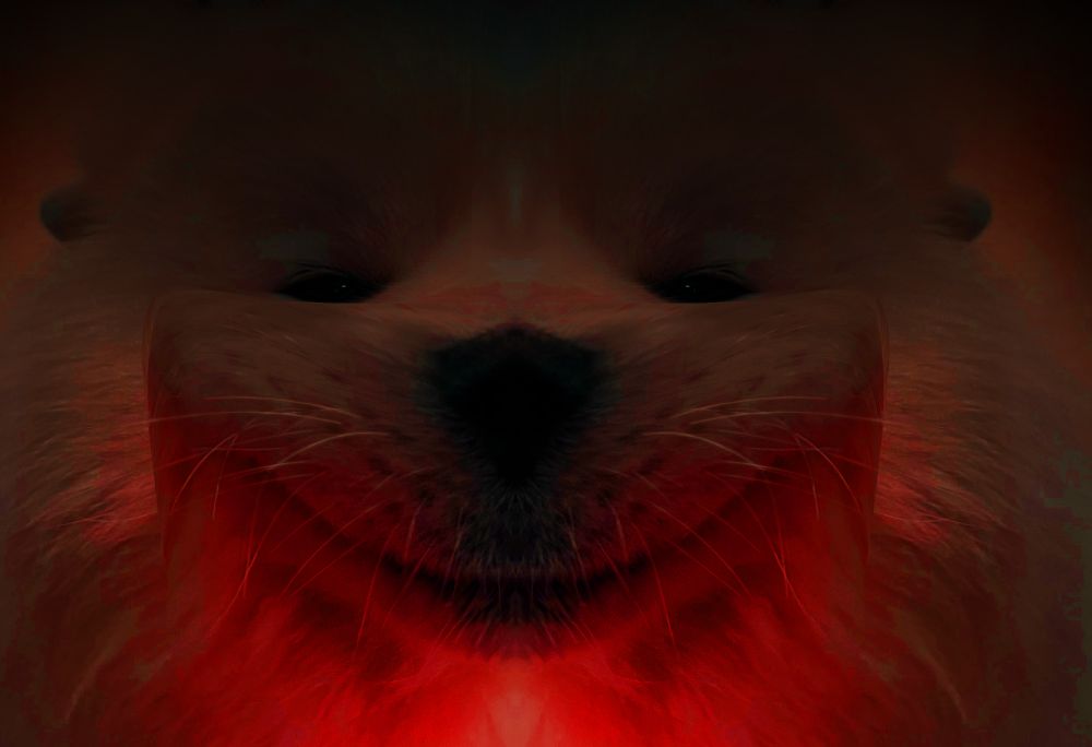 Comment image