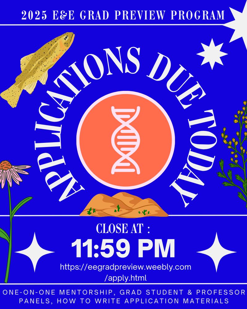 Featured text: "2025 E&E Grad Preview Program, Applications due today, close at 11:59pm, https://eegradpreview.weebly.com/apply.html, One-on-one mentorship, grad student & professor panels, how to write application materials

Visual guide: The entire flier is a bright royal blue with white text. The center is an orange circle with a white border and a white DNA strand in the middle. Below that there is a desert landscape cartoon. There is a pink and orange daisy-like flower on the left and another type of floral on the right with lots of little yellow buds and green leaves. There is also a fish (like a trout) in the upper left. In the upper right there are two white star graphics with 7 points. Bordering the text describing the time due, there are two white stars, one on each side, that have 4 points