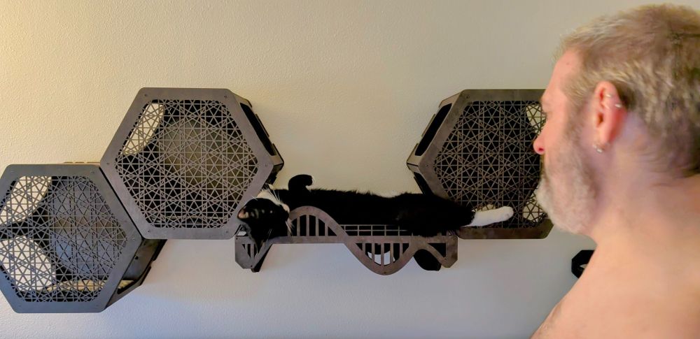 A tuxedo cat reclines on a tiny faux suspension bridge while being admired by a man with grey hair and beard.