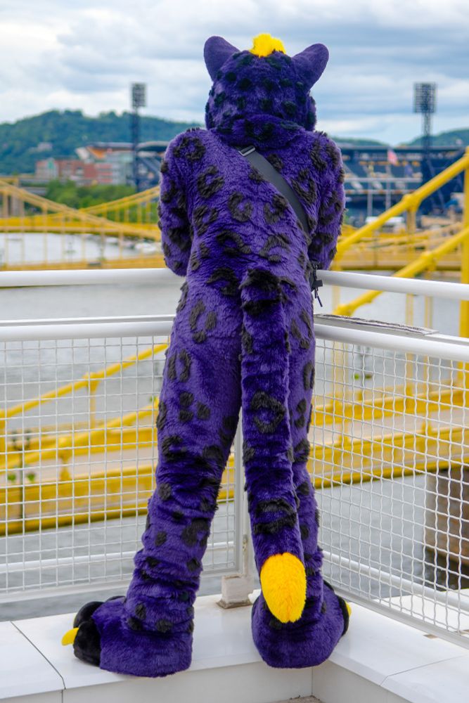 Finn, a purple and yellow fursuiter, stands on the edge of an outdoor terrace overlooking bridges across the Ohio river in Pittsburgh, Pennsylvania