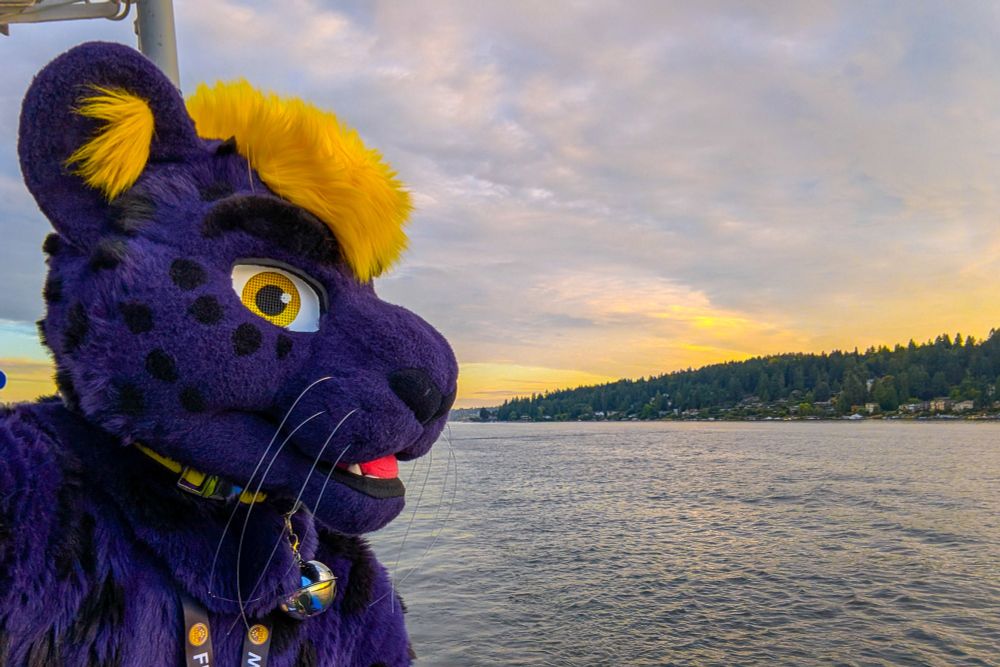Finn, a purple and yellow fursuiter, stares out to the water of Lake Union while on a party boat