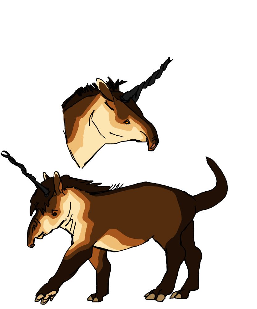 A small, semi-aquatic odd-toed ungulate with big hooves, a thick tail, a sloping profile with eyes below its nose and a prehensile nasal trunk. Atop its head, two horns have twisted into one. The crested mane provides cover for the hollow dome between its horns. It has a dark brown coat with black points, and strong countershading.

It is illustrated here in both profile and full view.