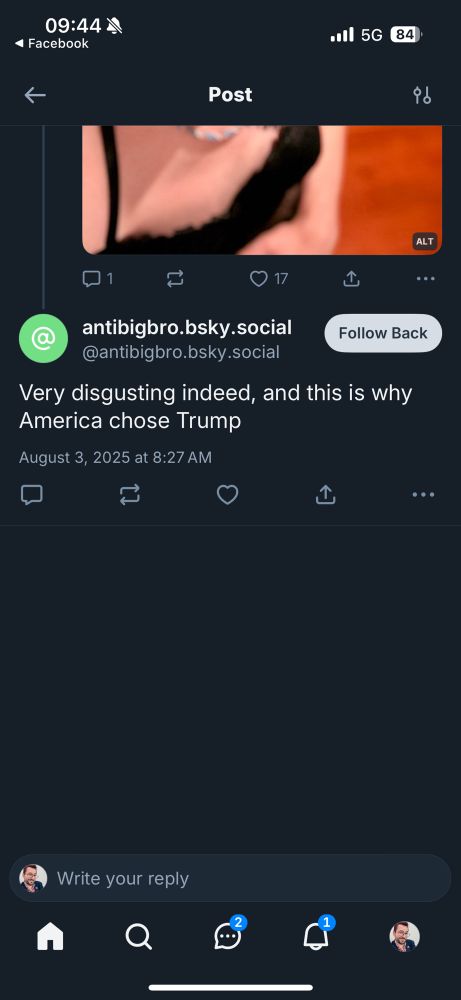 Bluesky user “antibigbro” writes: “Very disgusting indeed, and this is why America chose Trump.”