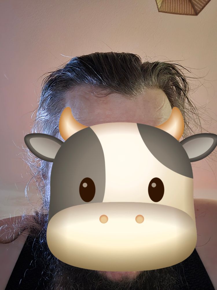 selfie von mir aber mein Gesicht ist von einem cartoon Kuh sticker verdeckt