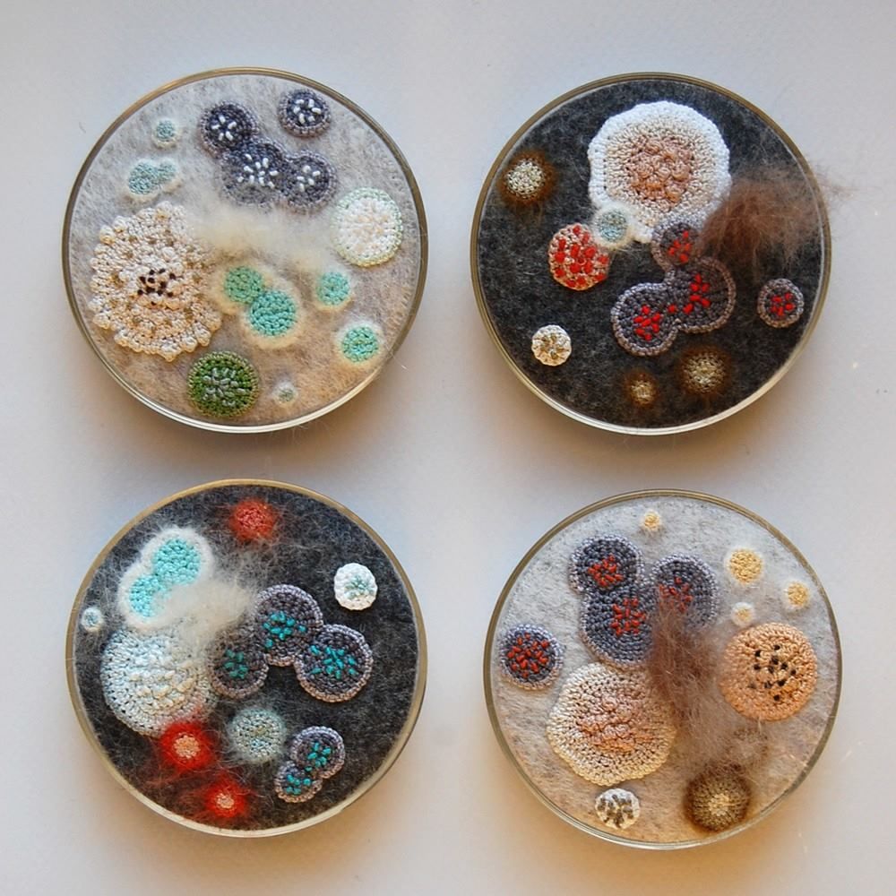 Crocheted Petri Dishes by Elin Thomas 2018.  An image of 4 crocheted and felted items mounted in circular frames. Each resembles a petri dish culture growing interesting things. 