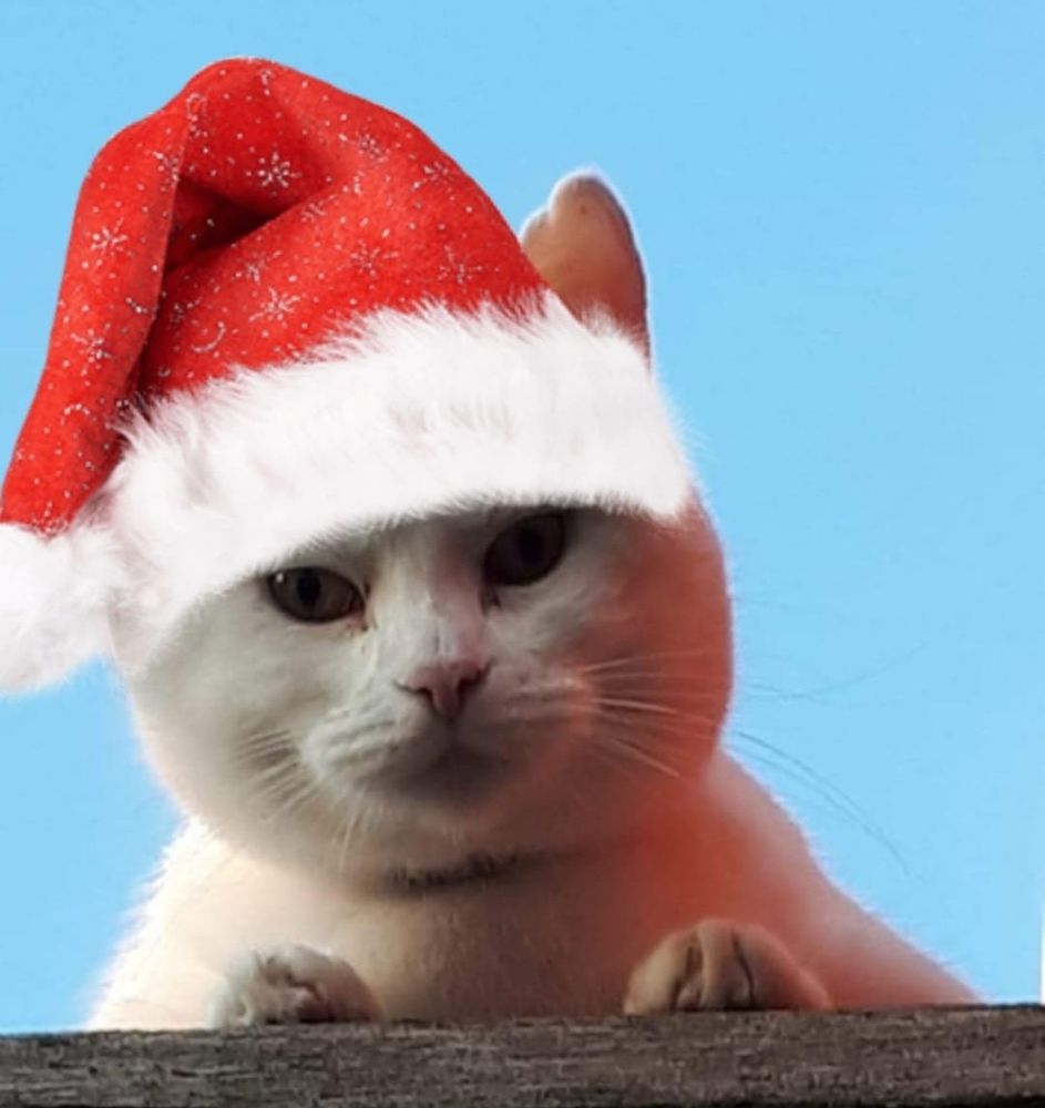 kissani Räyskä tonttulakki päässä