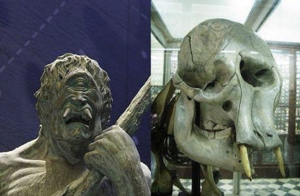 'One-Eyed' Fossils Fuel the Cyclops Myth?