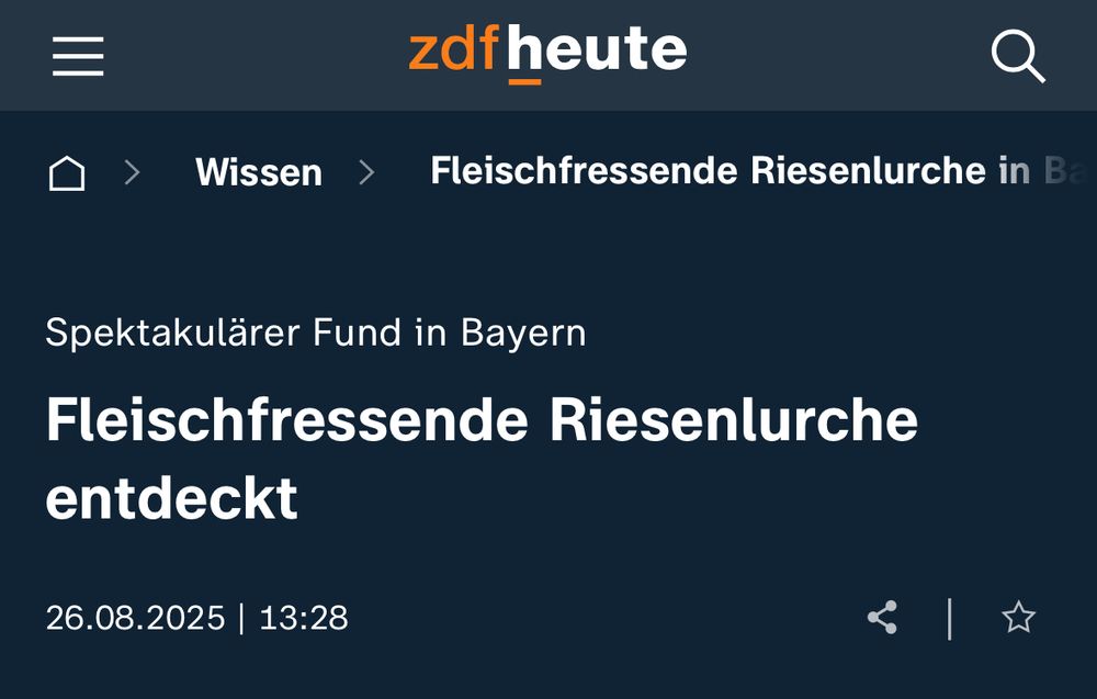 Spektakulärer Fund in Bayern : Fleischfressende Riesenlurche entdeckt 26.08.2025 | 13:28