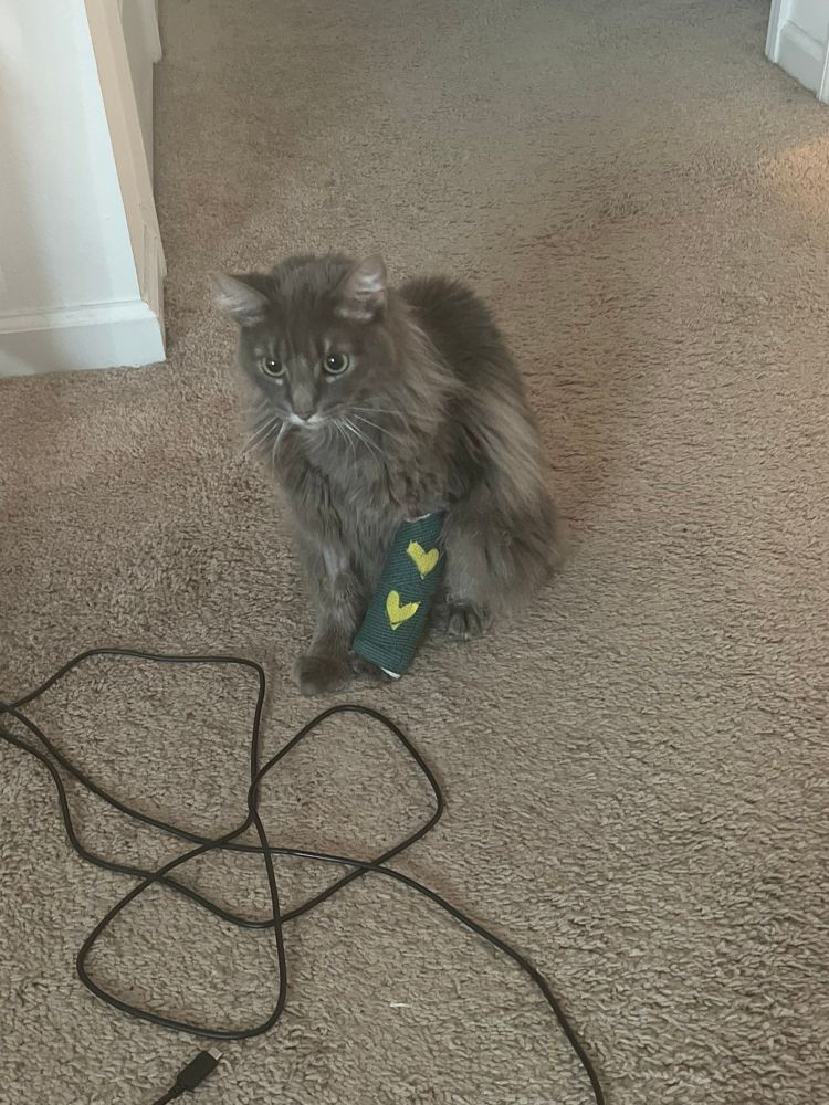 looking slightly to the side