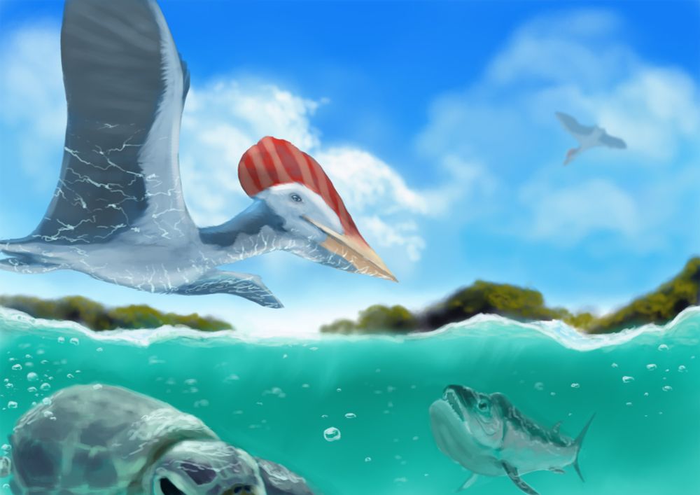 paleoart digital painting of tapejara pterosaur