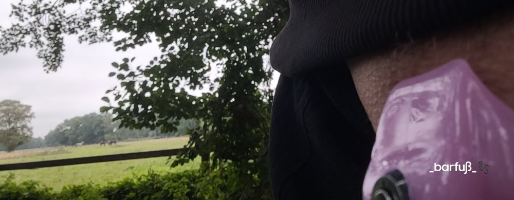 Am rechten Bildrand der obere Teil des hellrosa farbenen Peniskäfig. Daneben Ausblick auf Gebüsch und eine Pferdeweide. Weitere Bäume im Hintergrund. 