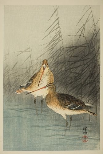 Gift of Russell Tyson