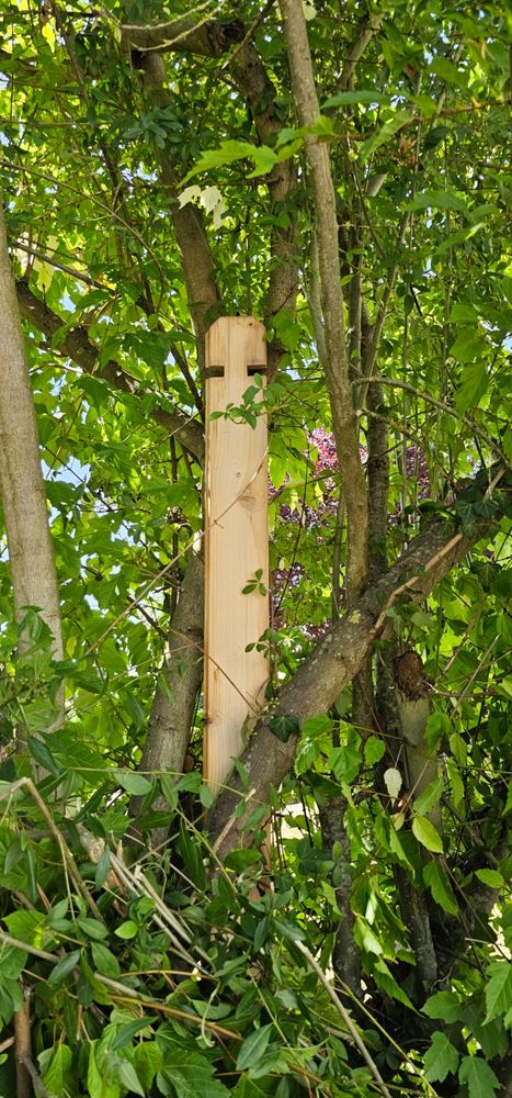 Holzlatte in einem Geäst fixiert.