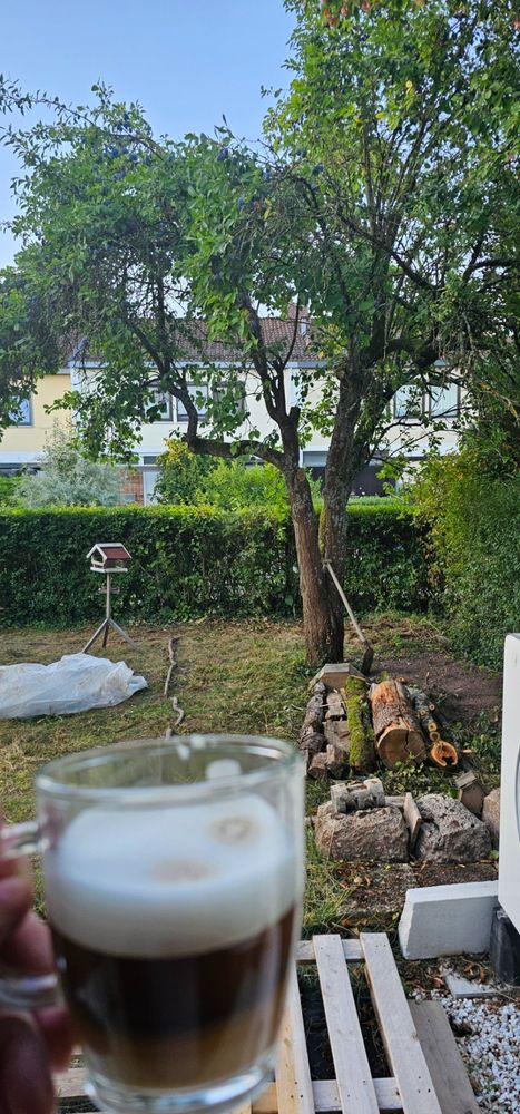 Kaffeetasse im Vordergrund und dahinter Totholz gestapelt, Pflaumenbaum und daneben Vogelfutterhäuschen.