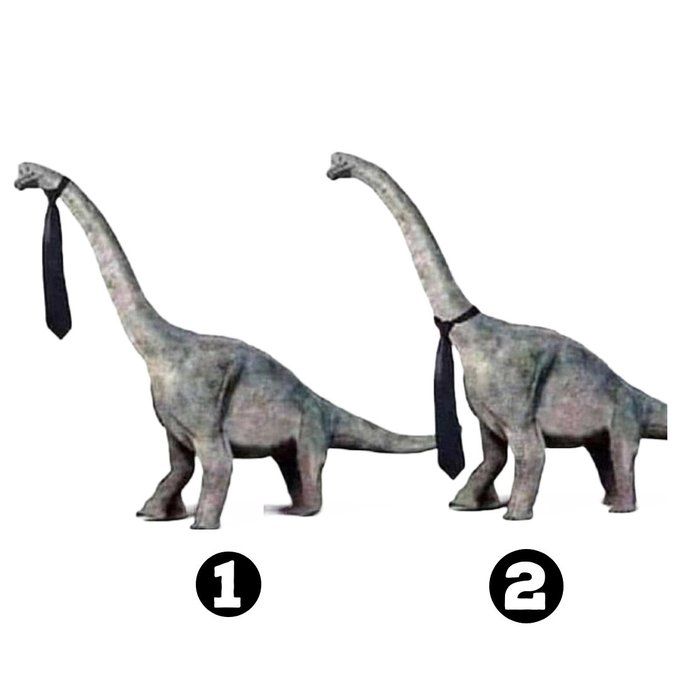 2 Brontosaurus tragen Krawatte
1 oben am Kopf
2 unten an den Schultern.