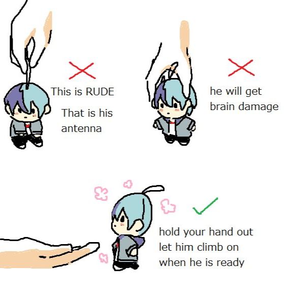 Drawing by wobbuuu. A series of depictions of a chibi character and how to (and not to) hold him. One way not to, is by his strand of hair, "This is rude. That is his antenna." Another way not to is by the head, "He will get brain damage." The way to do is by inviting him to be held, "Hold your hand out, and let him climb on when his is ready."
