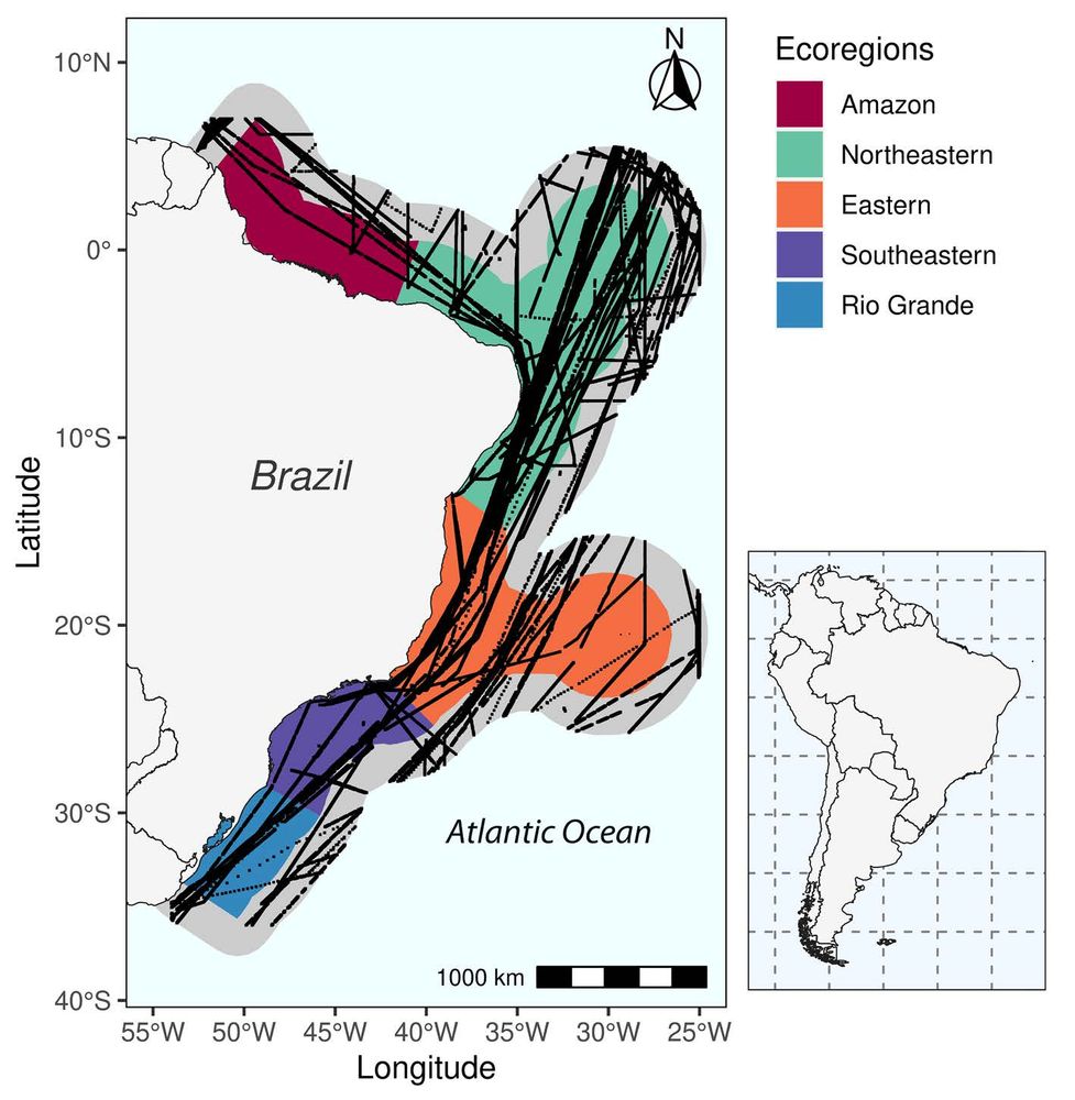 Figure 1. Map of the Brazilian continental margin/Brazilian Exclusive Economic Zone (Blue Amazon) region, considering the boundaries of the ecoregions (Spalding et al., 2007) with the overlap of the SOCAT collection points (black dots = 171,499 observations).