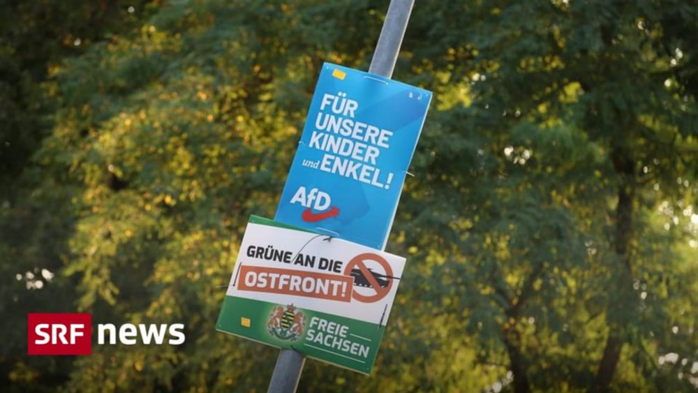 Nach dem Grosserfolg der AfD in Thüringen und Sachsen