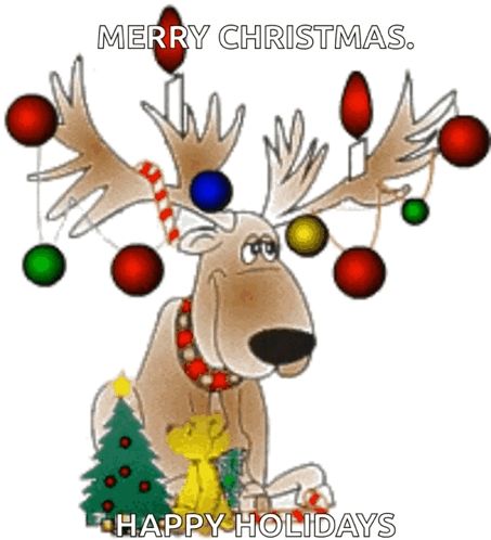 Comment image
