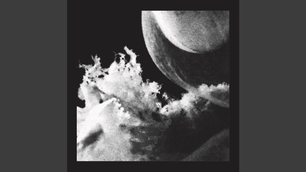 Embryo