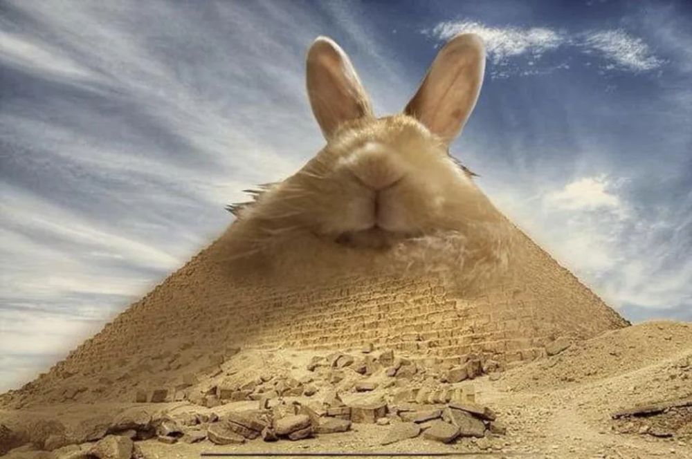 a rabbits head photoshopped on top of one of the pyramids