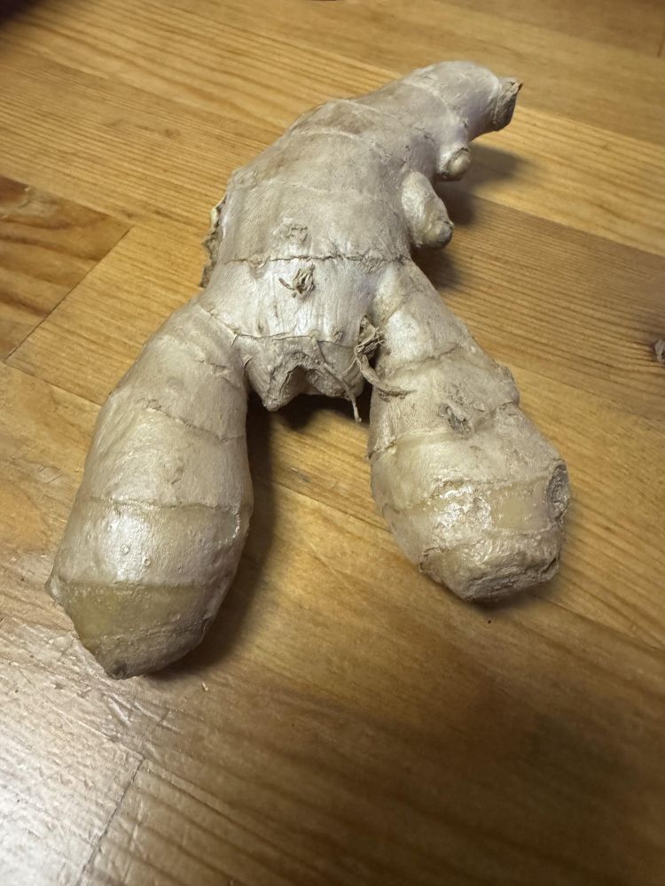 Piece of ginger that looks like a lobster