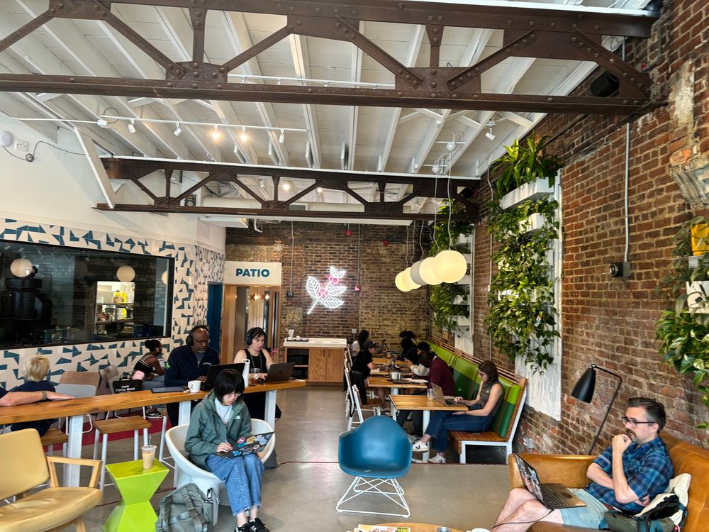 Opo Coffee in Decatur