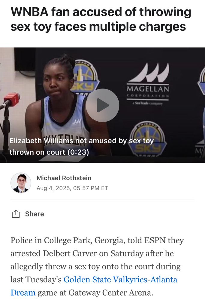 Atlanta Dream, WNBA sex toy bandit nabbed