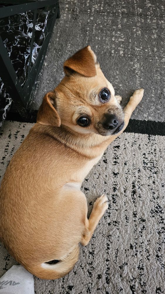 Lucky, a chug.