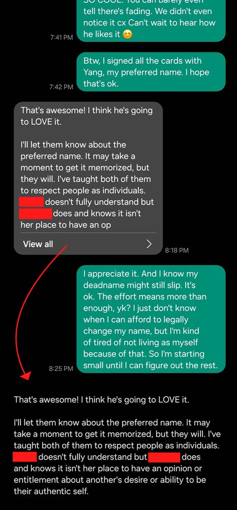 Screenshot of a convo between Sin and their sister-in-law about their preferred name.