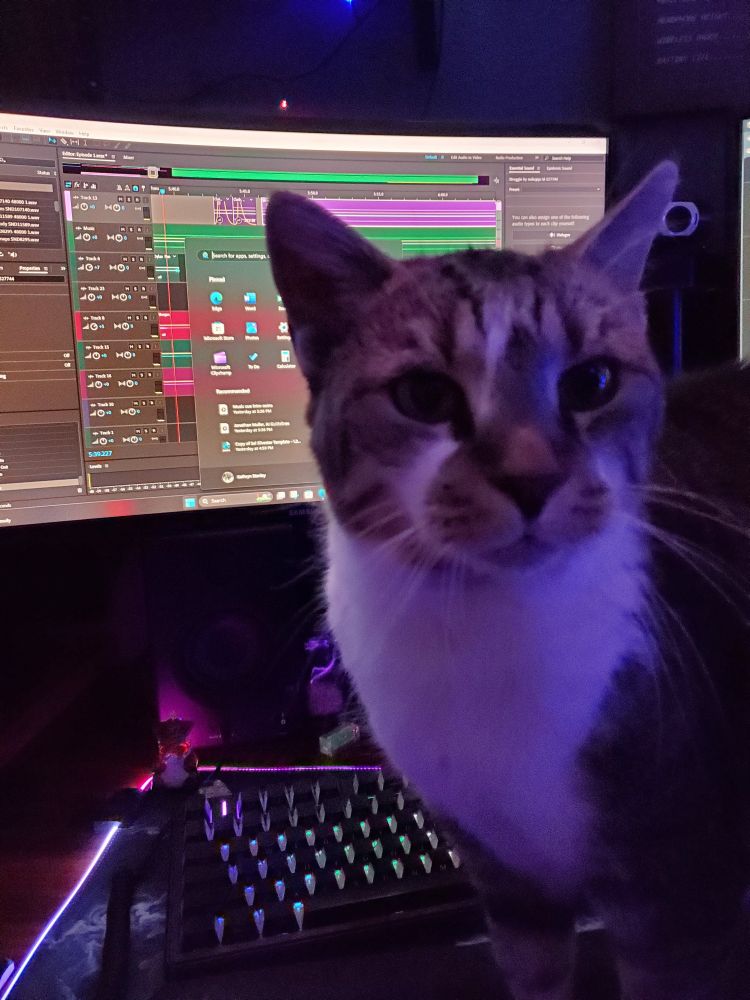 A calico cat standing on a desk in front of an open audio workstation. She demands pets.