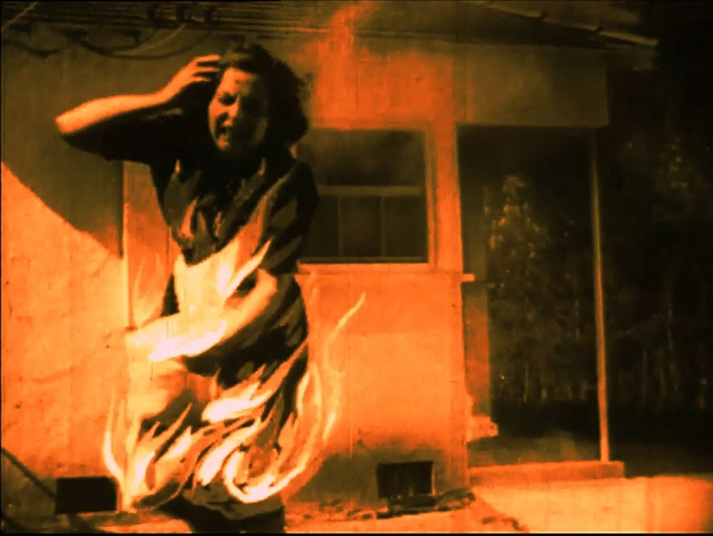 Gut Instinct - a Film by Doug Dillaman + Live Music Performance by Kyle Bruckmann | Shapeshifters Cinema