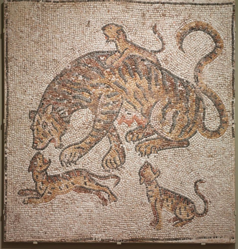 Fairly good quality mosaic of a tigress with three swollen teats showing and three lively cubs, on a white background. Tails very sinuous.