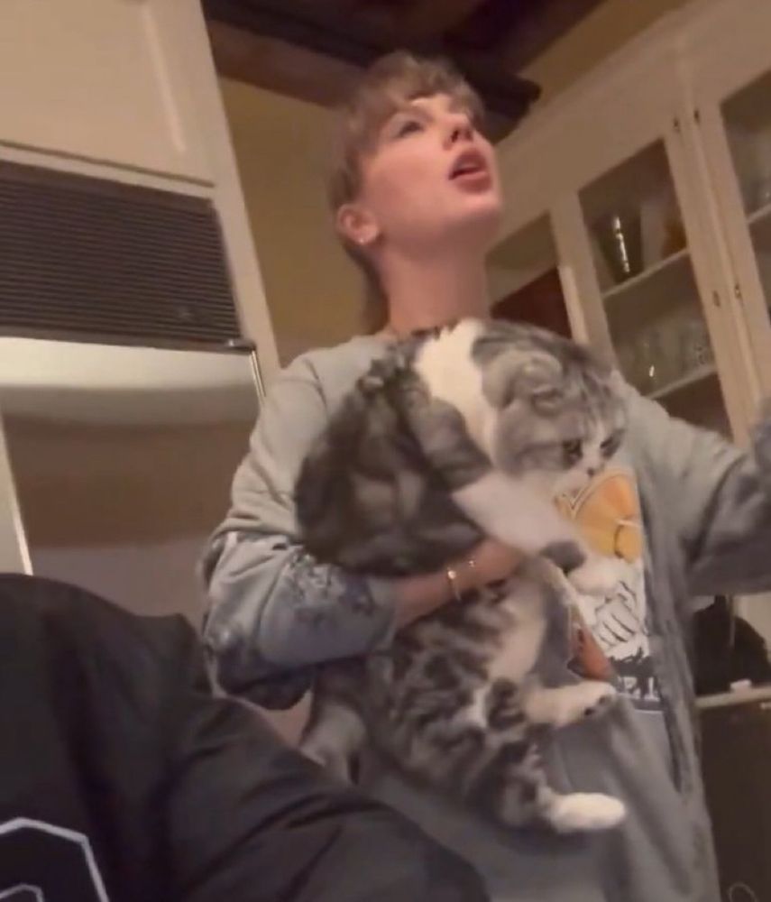 taylor swift in jack’s new video holding her cat Meredith 