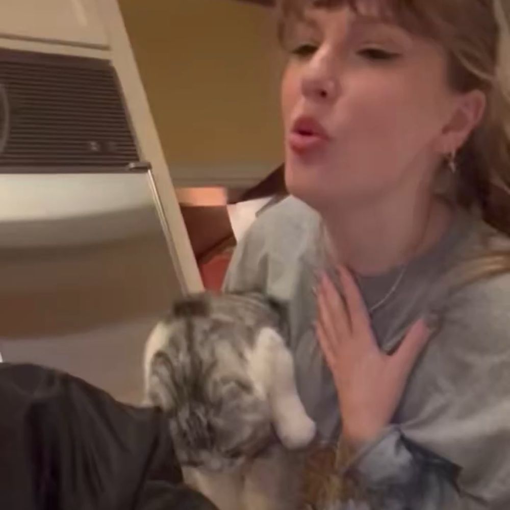 taylor swift in jack’s new video holding her cat Meredith 